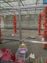 -萌宠亲子动物乐园(槐房万达店)