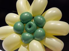 -眉州东坡(民族园店)