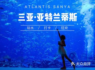 三亚·亚特兰蒂斯，海豚宝宝等你来！每次都有新惊喜！
