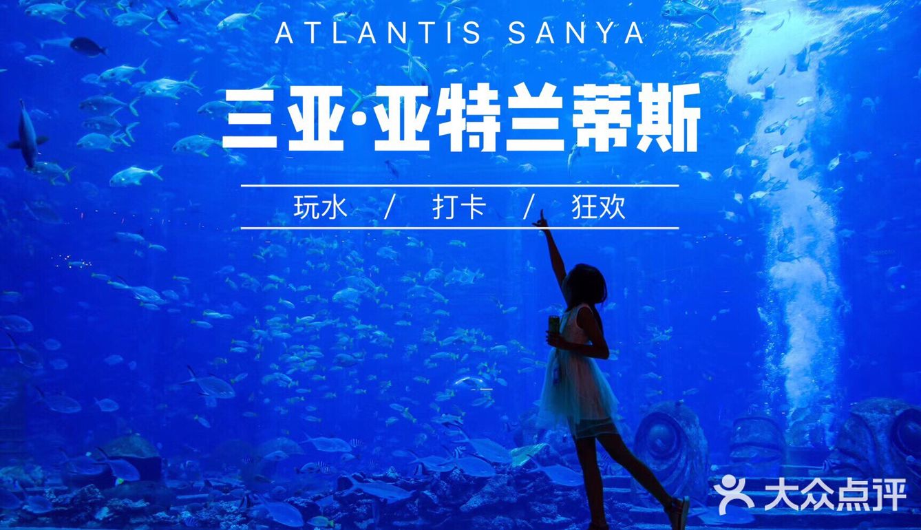 三亚·亚特兰蒂斯，海豚宝宝等你来！每次都有新惊喜！
