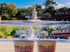 -西双版纳傣族园