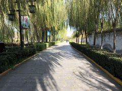 -西安汉城湖景区