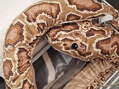 -宜家家居(四元桥商场店)