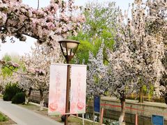 -海棠花溪(元大都城垣遗址公园)