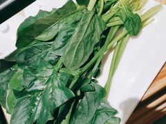 -蜀九香火锅(彩虹店)