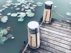 -新江湾城公园