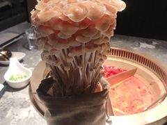 -麻路成都火锅(柏威年店)