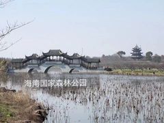 -上海海湾国家森林公园