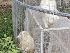 -丹樱生态园