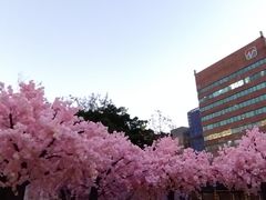 -新城市广场