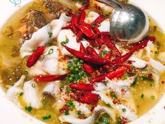 -姚姚酸菜鱼·金戈戈香港豉油鸡(喜荟城联名店)