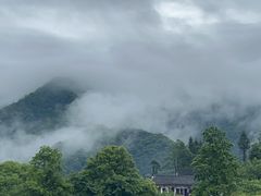 -石台牯牛降景区