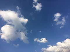 -紫颐香薰山谷景区