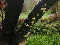 -重庆彩云湖湿地公园