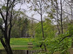 -上海共青森林公园