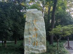 -灵谷景区