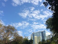 -九龙公园