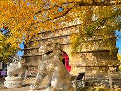 -北京石刻艺术博物馆(五塔寺)