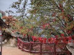 -秦岭终南山世界地质公园翠华山景区