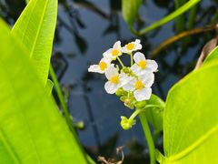 -昆山城市生态森林公园