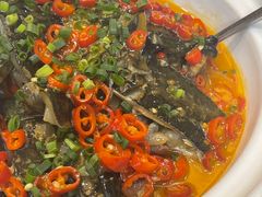 -东湖印象汉寿特色甲鱼钵子菜(渔人码头店)