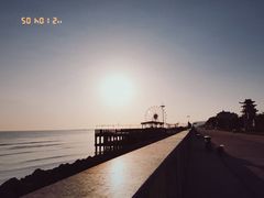 -奉贤海滩
