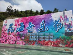 -大围山国家森林公园
