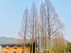 -东钱湖小普陀景区