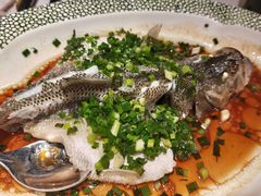 -佬肥猫·浙江乡村菜(国华广场店)