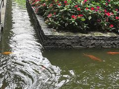 -南宁荔园维景国际酒店·荔园中餐厅