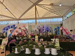 -上海鲜花港