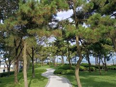 -八大峡公园