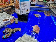 -盒马鲜生(新都心店)