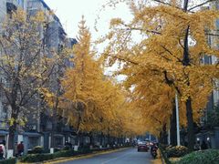 -四川大学(望江校区)