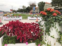 -奥特莱斯停车场