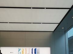 -Apple零售店(成都太古里店)