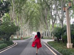 -河南省黄河迎宾馆