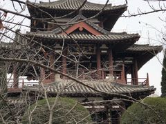 -西安青龙寺遗址景区