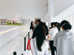 -罗红摄影艺术馆