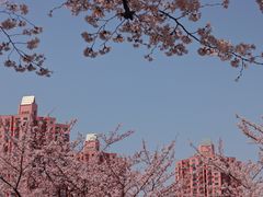 -永乐路-路侧停车场