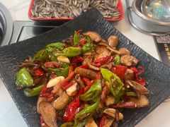 -蘑统田下·野生菌火锅