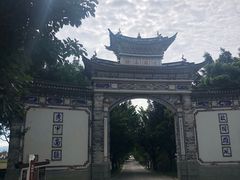 -啊马英豌豆粉
