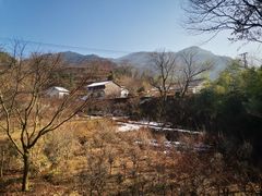 -四明山国家森林公园
