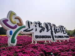 -上海鲜花港