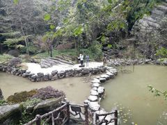 -梭布垭石林景区