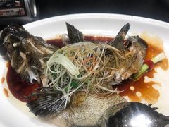 清蒸龙胆鱼-紫阳海鲜楼·传承闽味(长乐路总店)