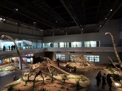 -自贡恐龙博物馆