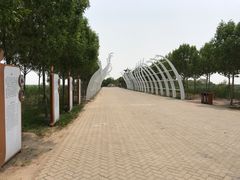-南大港湿地风景区