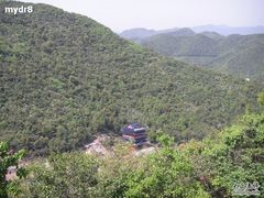 -黄贤森林公园