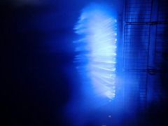 android_upload_pic-东港音乐喷泉广场